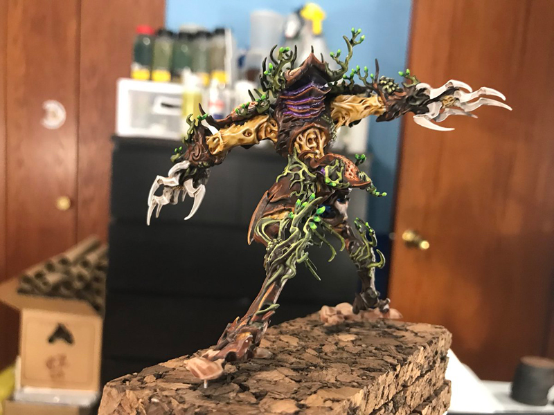 Drycha